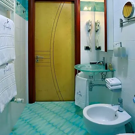 Piccadilly Hotel 3*